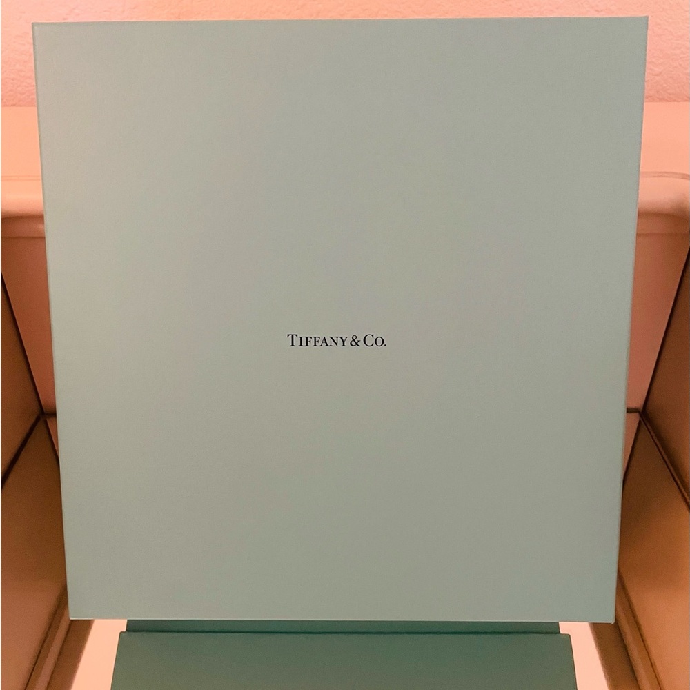 Tiffany & Co. Blue Gift Box